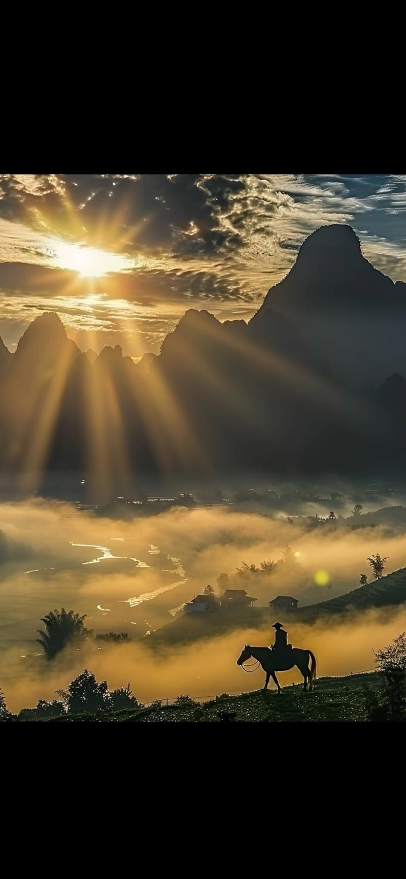 vivi万能小偷站群