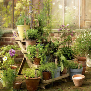 Garden Decor