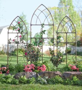 Lend a beautiful look to any outdoor space!