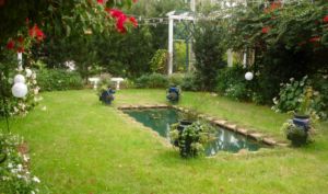 Charming pond surrounded by lavish greenery