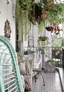 Hanging plants