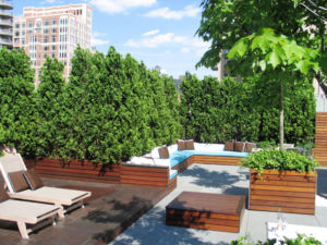 Living wall