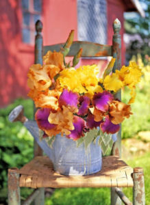 So colorful!