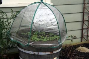 Functional and creative!