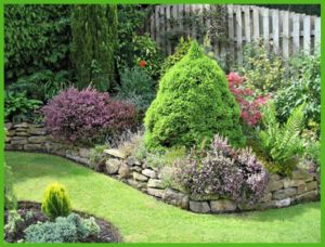 Stunning small garden