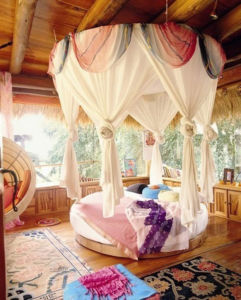 Gorgeous canopy