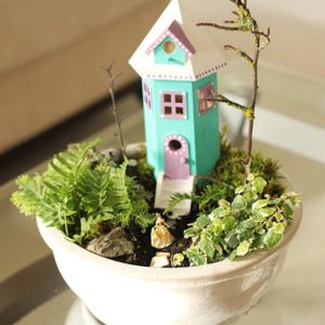 indoor-fairy-garden