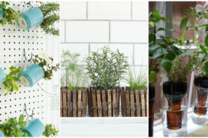 indoor-herb-gardens