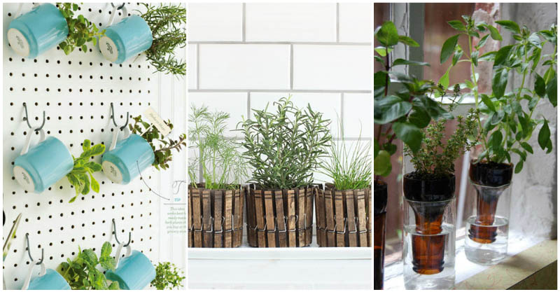 indoor-herb-gardens