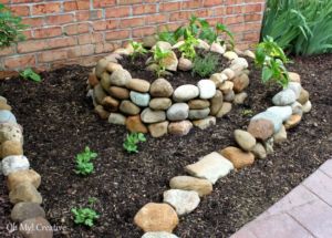 vegetables-garden-in-a-spiral