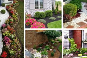 Landscaping-ideas