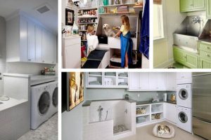 15 Well Arrange Laundry Rooms Pet Shower