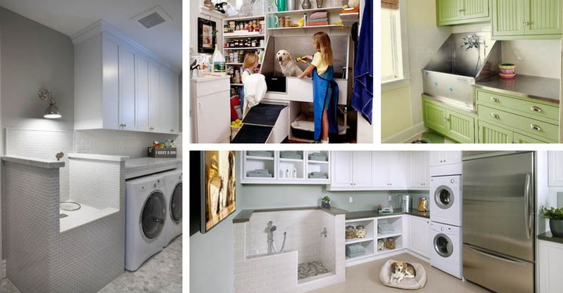 15 Well Arrange Laundry Rooms Pet Shower